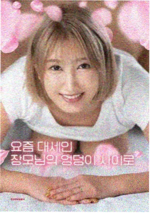 我的野蛮女友电影海报